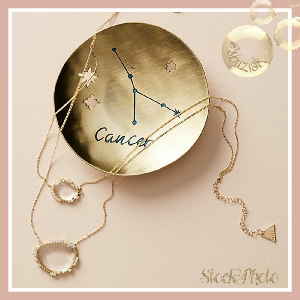 Anthropologie Cancer Zodiac Rustic Trinket Dish